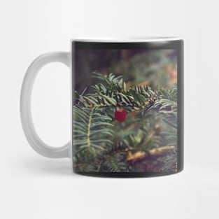 Winter Berry Mug